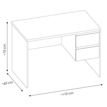 Lomadox Schreibtisch FORTALEZA-129, in weiß, 2 Schubladen, B/H/T 110/75/65 cm