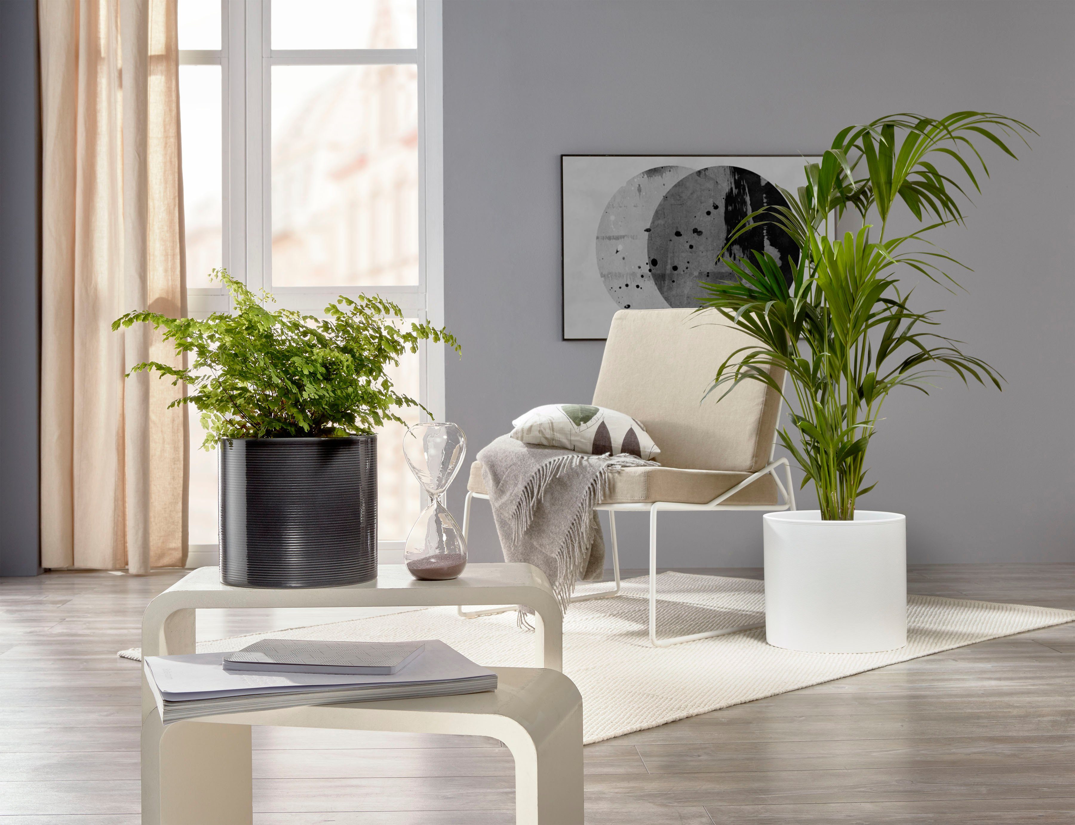 Scheurich Blumentopf 28/828 günstig online kaufen