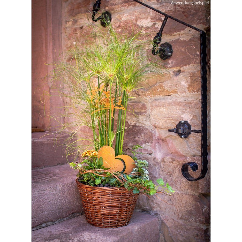 matches21 HOME & HOBBY Blumentopf Pflanzkorb günstig online kaufen