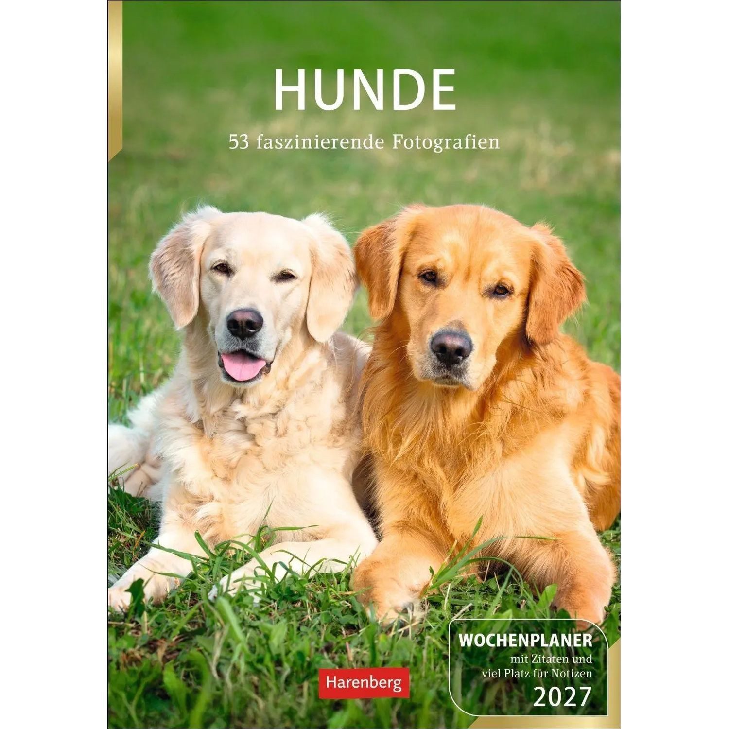 Harenberg Kalender Verlag Wandkalender Hunde Wochenplaner 2027 - 53 faszinierende Fotografien