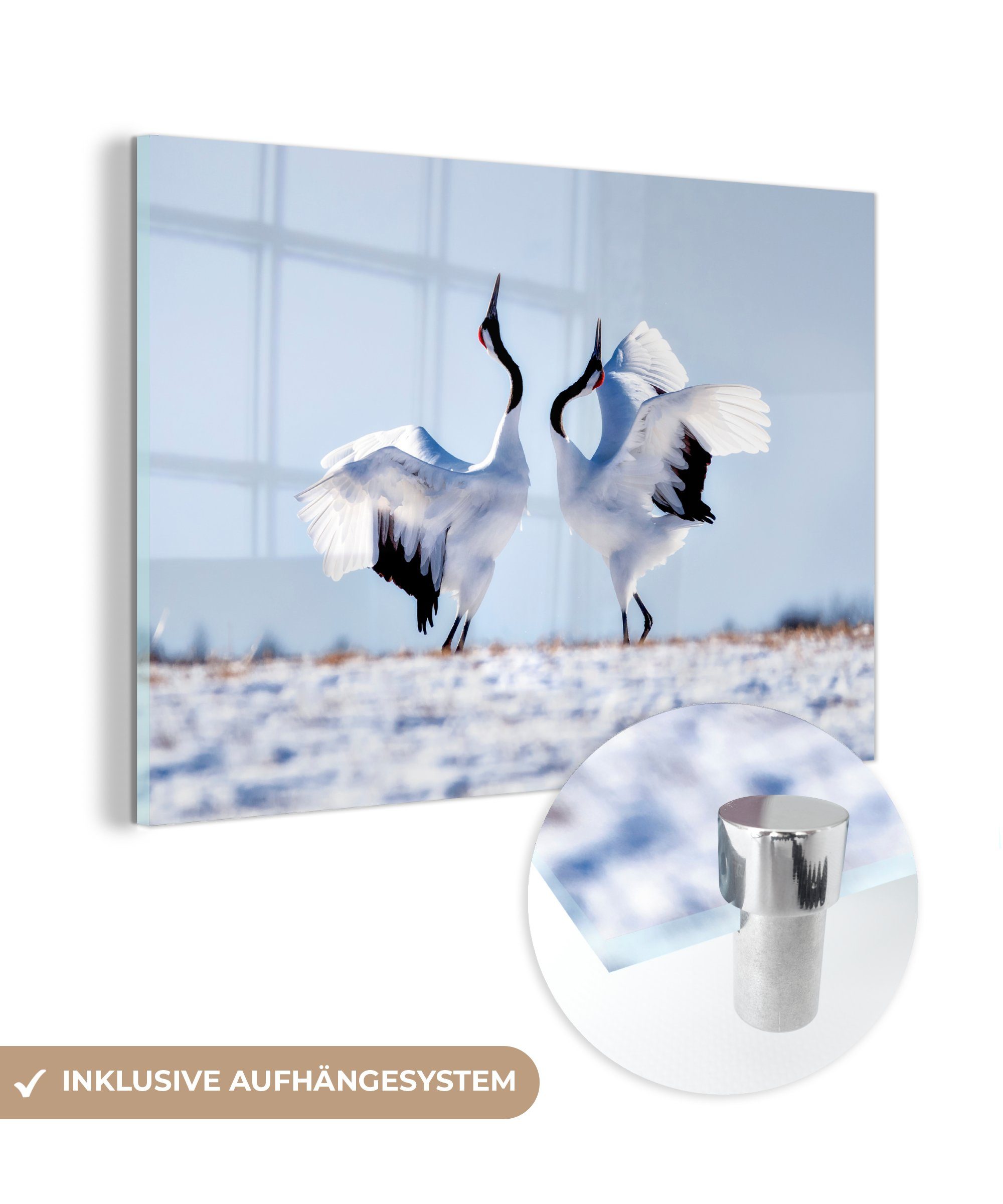 - Winter, MuchoWow & Acrylglasbild Schlafzimmer (1 Vögel Schnee Acrylglasbilder Wohnzimmer St), -