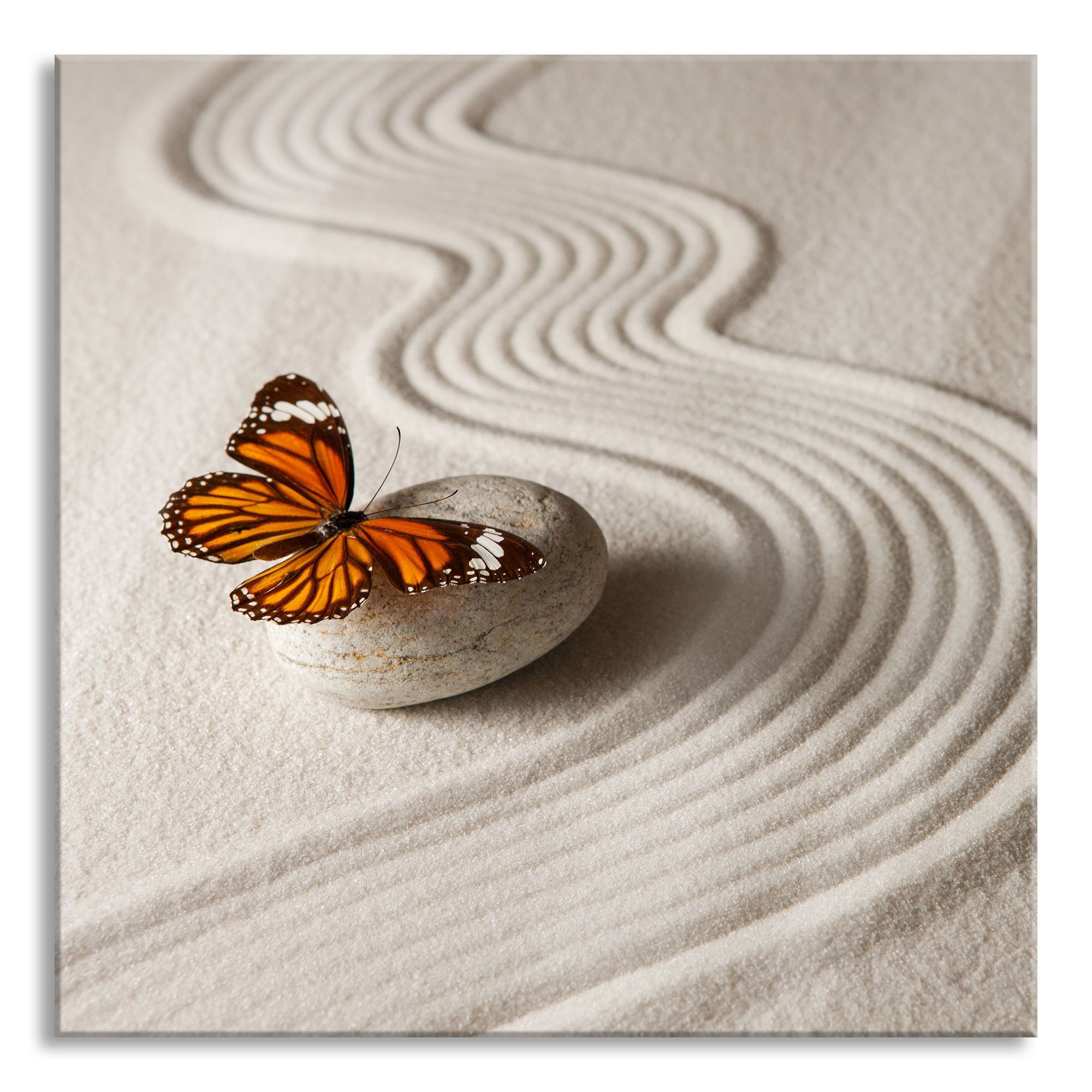 Pixxprint Glasbild Zen Schmetterling, Zen Schmetterling (1 St), Glasbild aus Echtglas, inkl. Aufhängungen und Abstandshalter