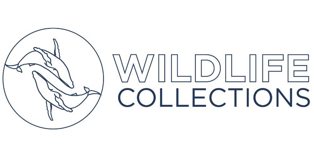 wild life collection
