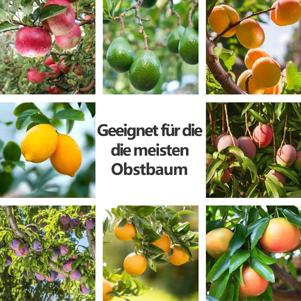 FOUORTUNATE-BEE Obstpflücker Obstpflücker 4 m mit Stoffbeutel Apfelpflücker für Obstbäume, Für Äpfel, Kirschen, Birnen, Pflaumen und Zitrusfrüchte