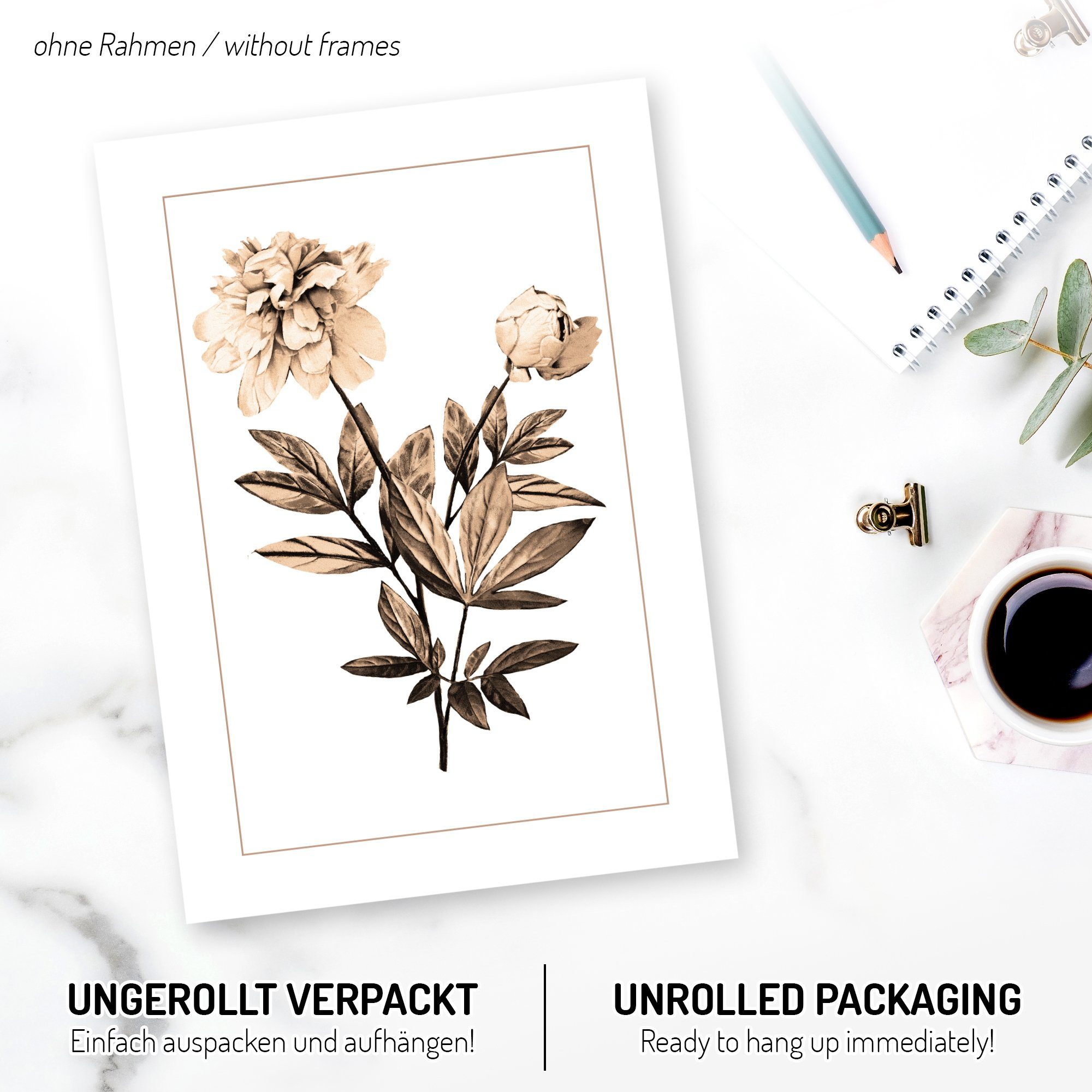 Kreative Feder Poster, Blume, Blüte, sepia, Zeichnung, Natur, Garten (Set, 4 St), 3-teiliges Poster-Set, Wandbild, optional mit Rahmen, DIN A4 oder A3