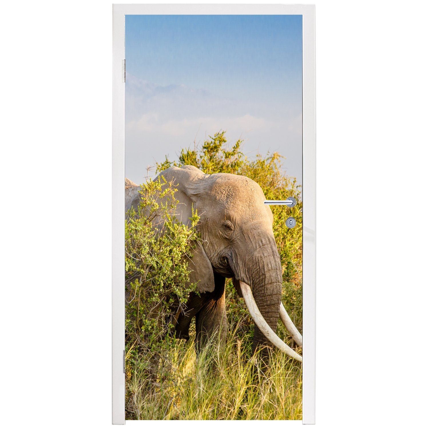 Türaufkleber, bedruckt, (1 Berg, Tiere Grün Türtapete Gras Elefant für Fototapete 75x205 - - Matt, - cm MuchoWow St), - Tür,