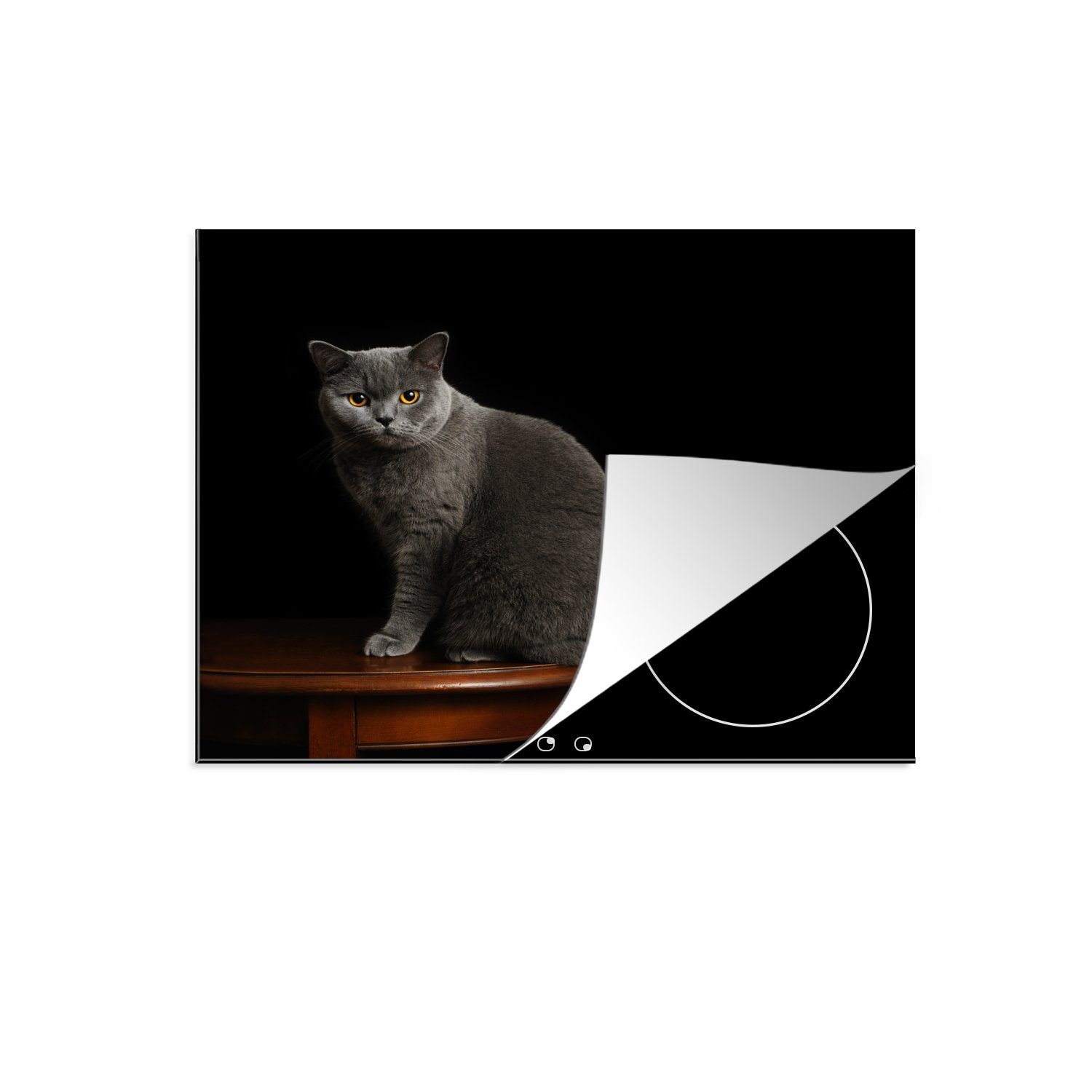 tlg), die für cm, Ceranfeldabdeckung Britisch-Kurzhaar-Katze, einer Induktionsmatte küche, 59x52 Vinyl, Porträt Herdblende-/Abdeckplatte MuchoWow (1