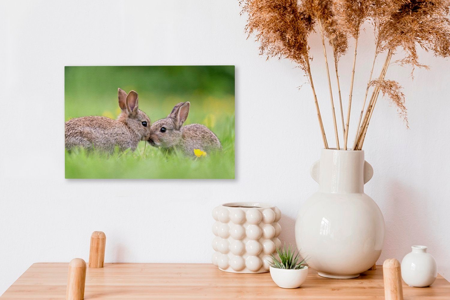 Leinwandbilder, (1 Wanddeko, OneMillionCanvasses® Leinwandbild mit cm Aufhängefertig, 30x20 Wandbild Zwei St), gegeneinander, Schnauzen ihren Kaninchen
