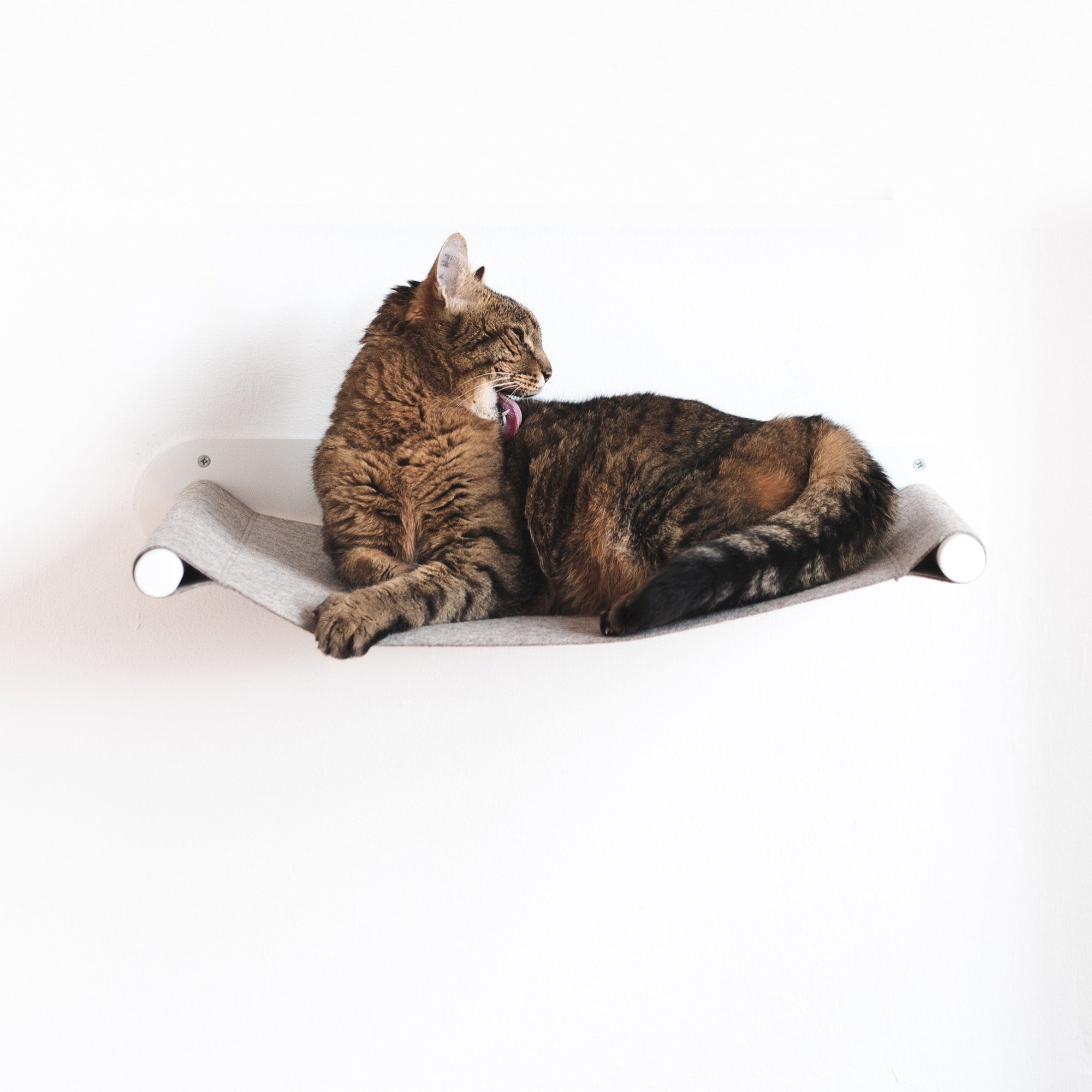 LucyBalu Katzen-Hängematte SWING Katzenhängematte aus Filz günstig online kaufen