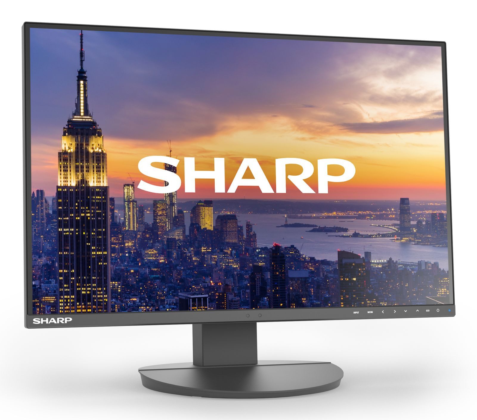 Sharp DD-EA242W BLACK 24IN IPS 1920X1200 16:10 300CD TFT-Monitor (1920 x 1200 px, Full HD, 5 ms Reaktionszeit, 60 Hz, IPS, Lautsprecher, Pivot, Höhenverstellbar)