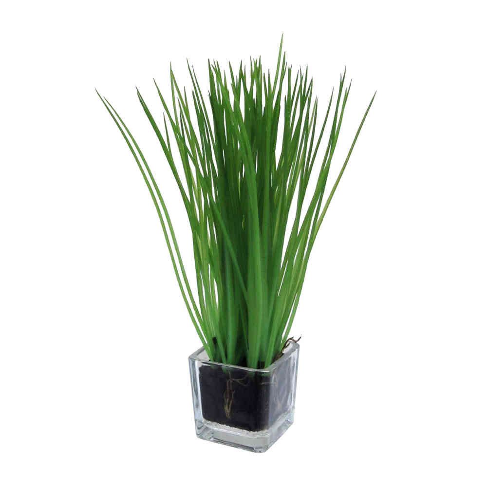 Kunstgras Gras, GRASBUSCH mit WURZELBALLEN ca. 23cm. Im GLAS ca 5x5cm., Gasper