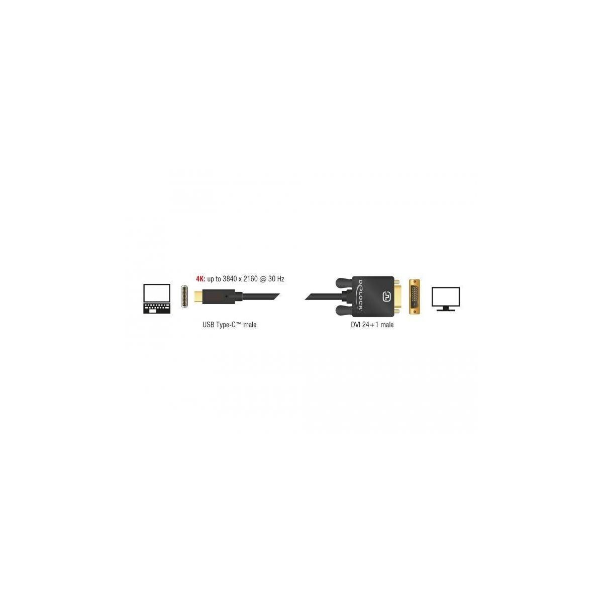 Stecker 24+1 > Delock Alt... USB USB DVI (DP Stecker DVI, Type-C™ Kabel Computer-Kabel,