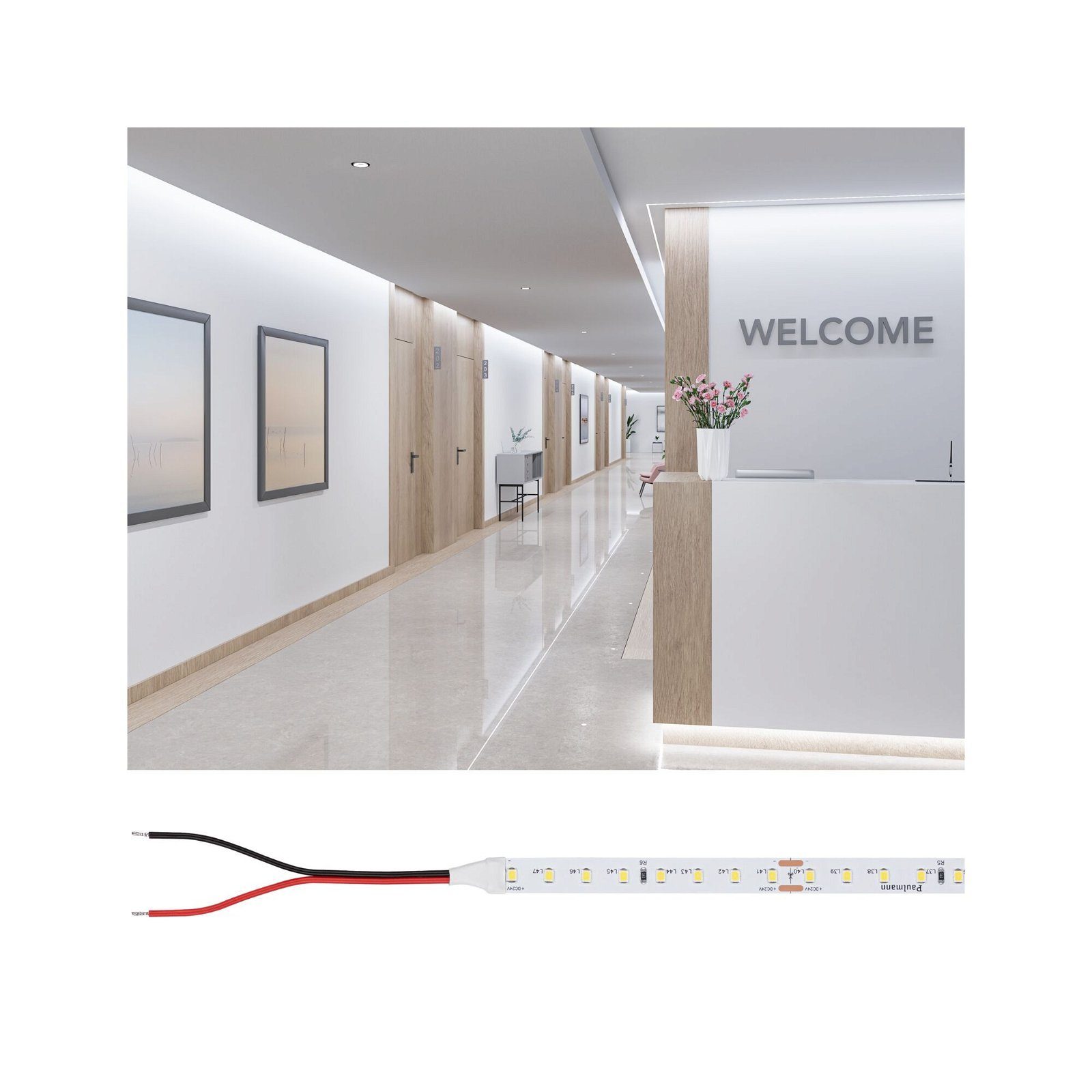 Paulmann LED-Streifen Pro Strip Gold P75 10m 965 IP20 24V DC 55W