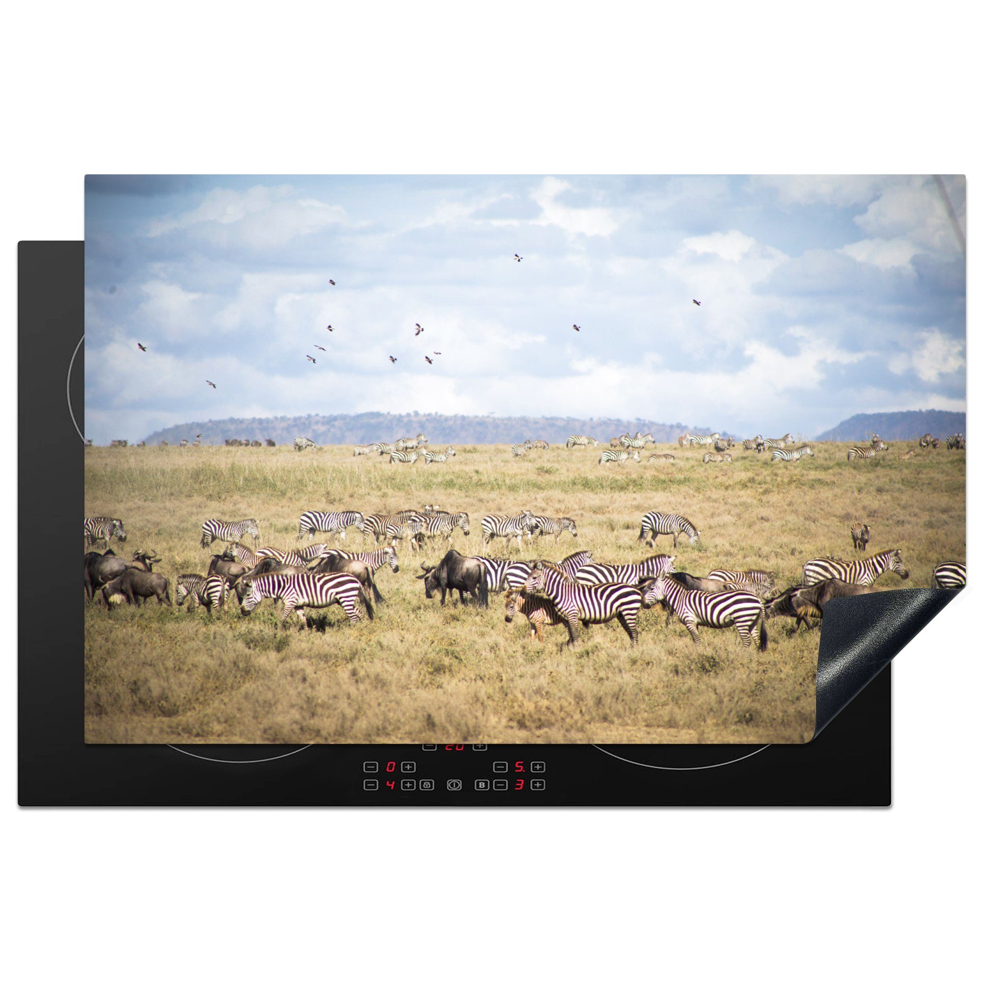MuchoWow Herdblende-/Abdeckplatte Eine große Herde Zebras wandert durch die Savanne, Vinyl, (1 tlg), 81x52 cm, Induktionskochfeld Schutz für die küche, Ceranfeldabdeckung