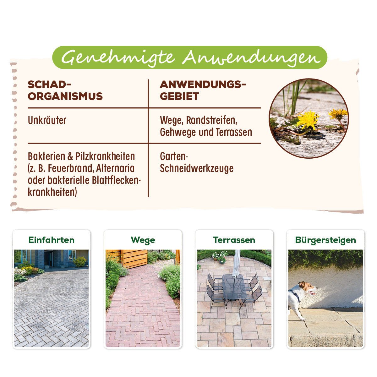 Solabiol Unkrautbekämpfungsmittel Grundstoff Acetum 3 L - zur Unkrautbeseitigung auf Wegen und Terrassen, 3000 ml – Bild 4 von 5