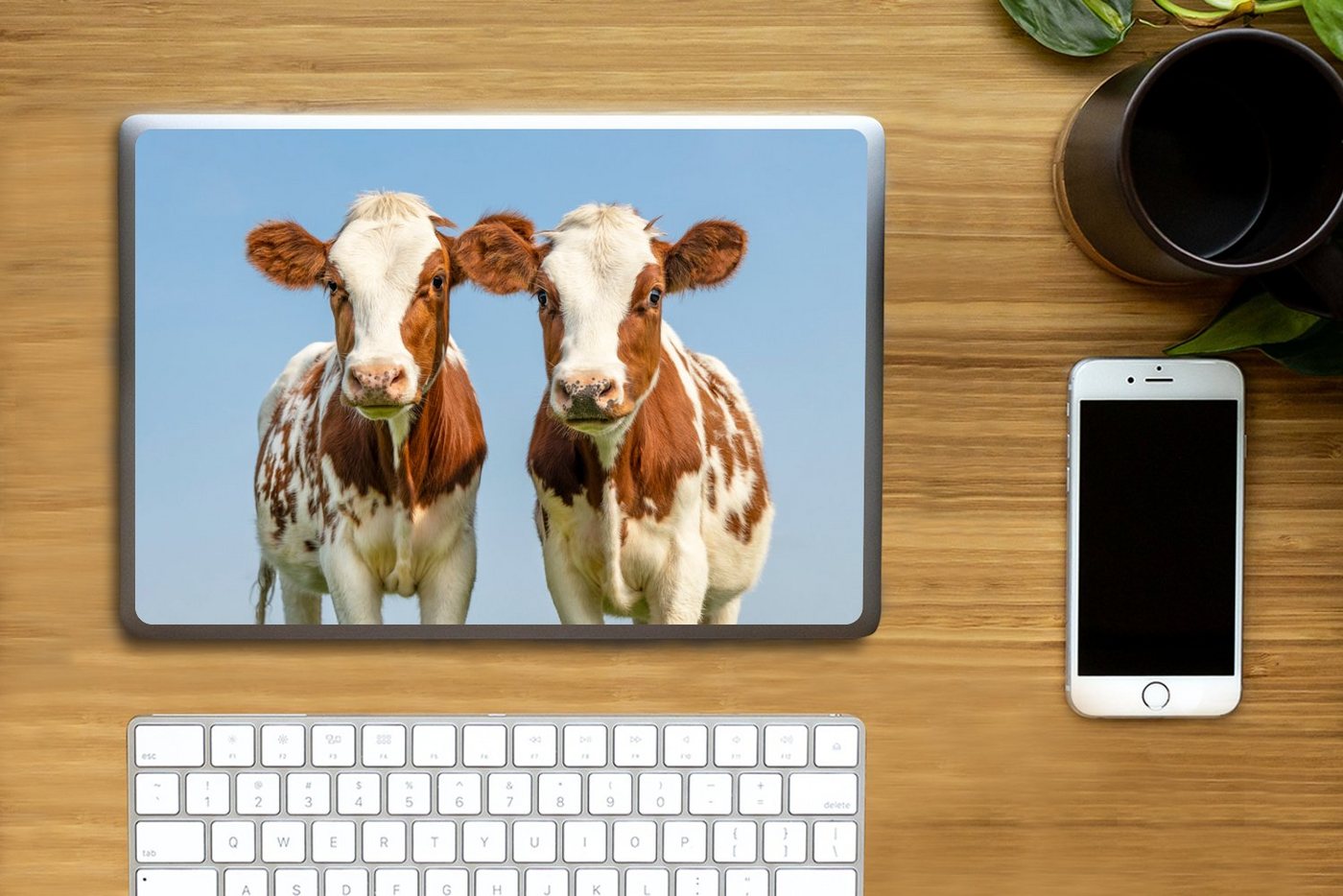 Thumbnail - MuchoWow Laptop-Aufkleber Kühe - Himmel - Tiere - Bauernhof - Porträt