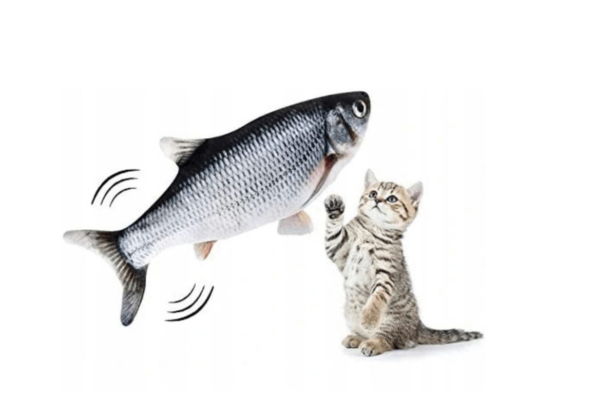 Tier-Beschäftigungsspielzeug Tier-Beschäftigungsspielzeug Katzenspielzeug Catch 'n play Fish