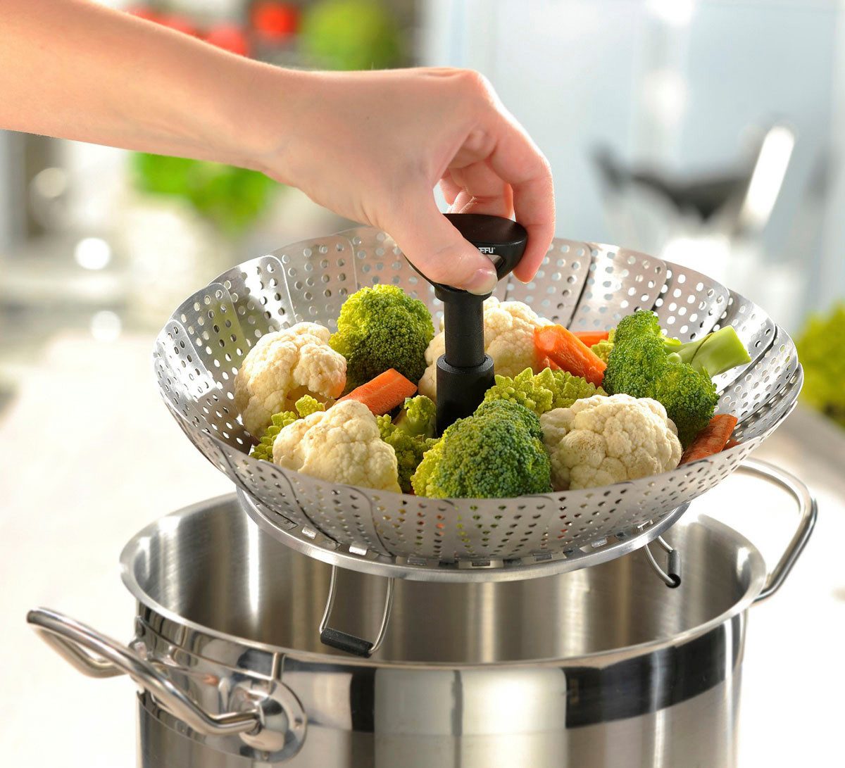 GEFU Dampfgartopf VITALA, Edelstahl (1-tlg), faltbare Dünstschale, Ø 27 cm, Edelstahl, Induktion