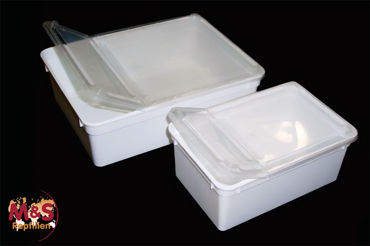 M&S Reptilien Terrarium Kunststoffbox weiß, klein (18x12x7,5 cm) Deckel transparent.