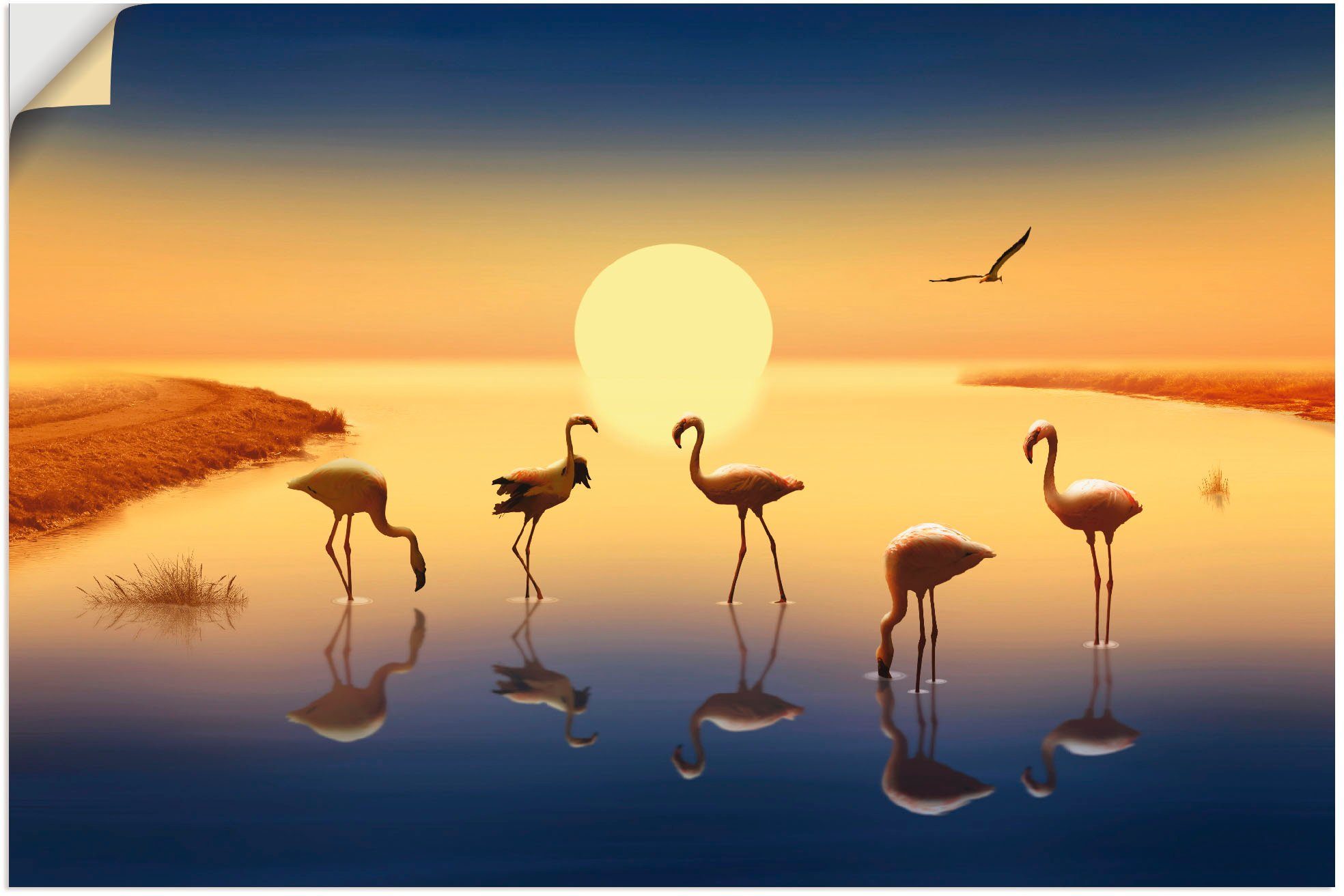 Artland Wandbild Flamingos in St), als Vögel Alubild, der Größen Wandaufkleber in versch. oder Abendsonne, Poster Leinwandbild, (1