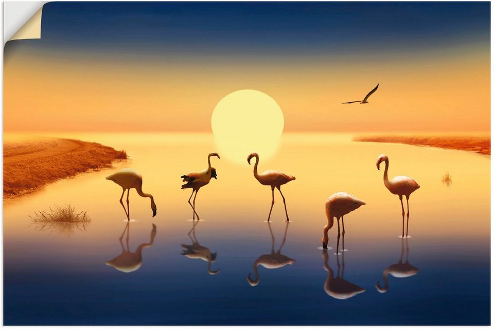Artland Wandbild Flamingos in der Abendsonne, Vögel (1 St), als Alubild,  Leinwandbild, Wandaufkleber oder Poster in versch. Größen