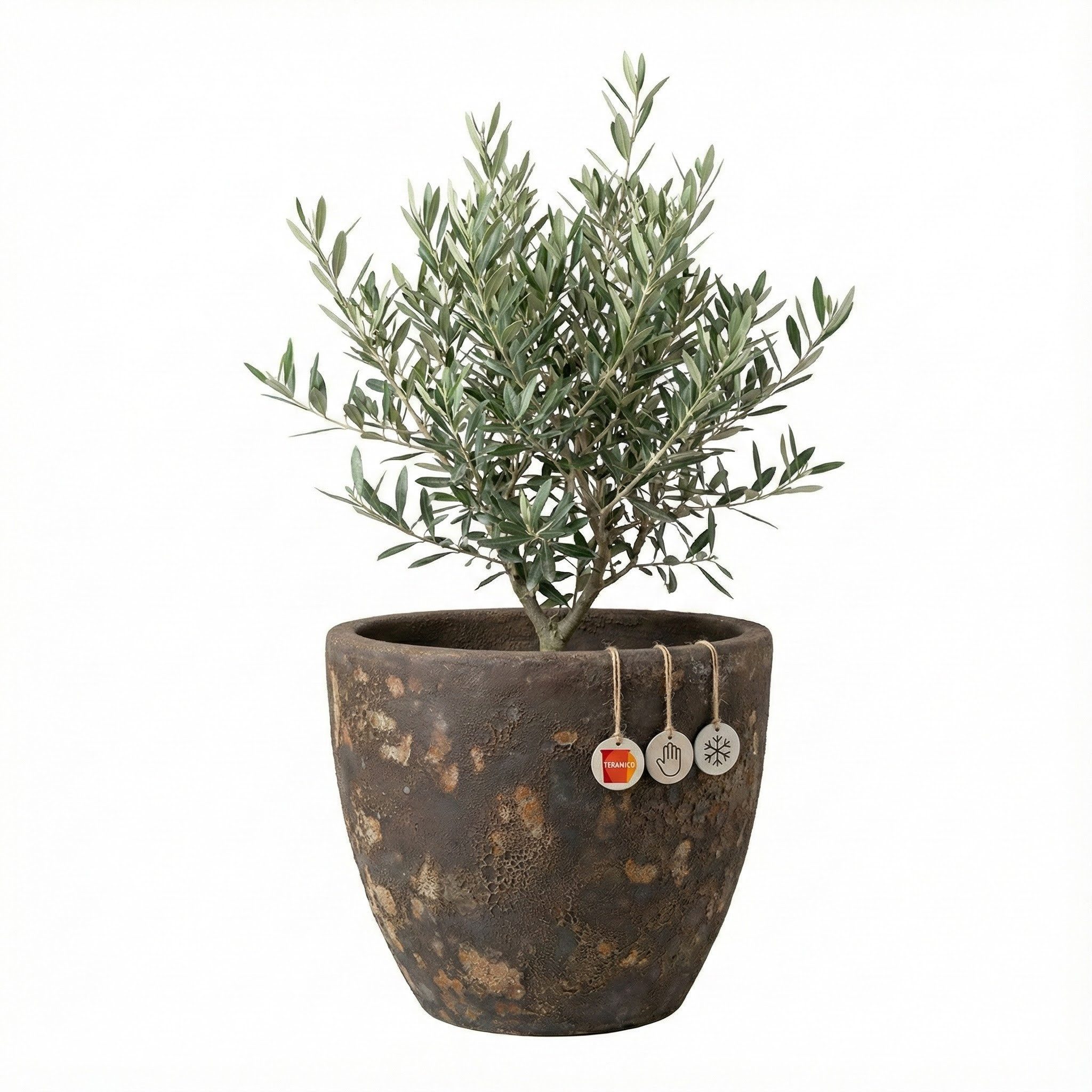 Teramico Pflanzkübel Keramik Pflanzgefäß Eggpot, Lava Braun, Ø 21 cm, Steinzeug geschliffen, 100% Frostfest