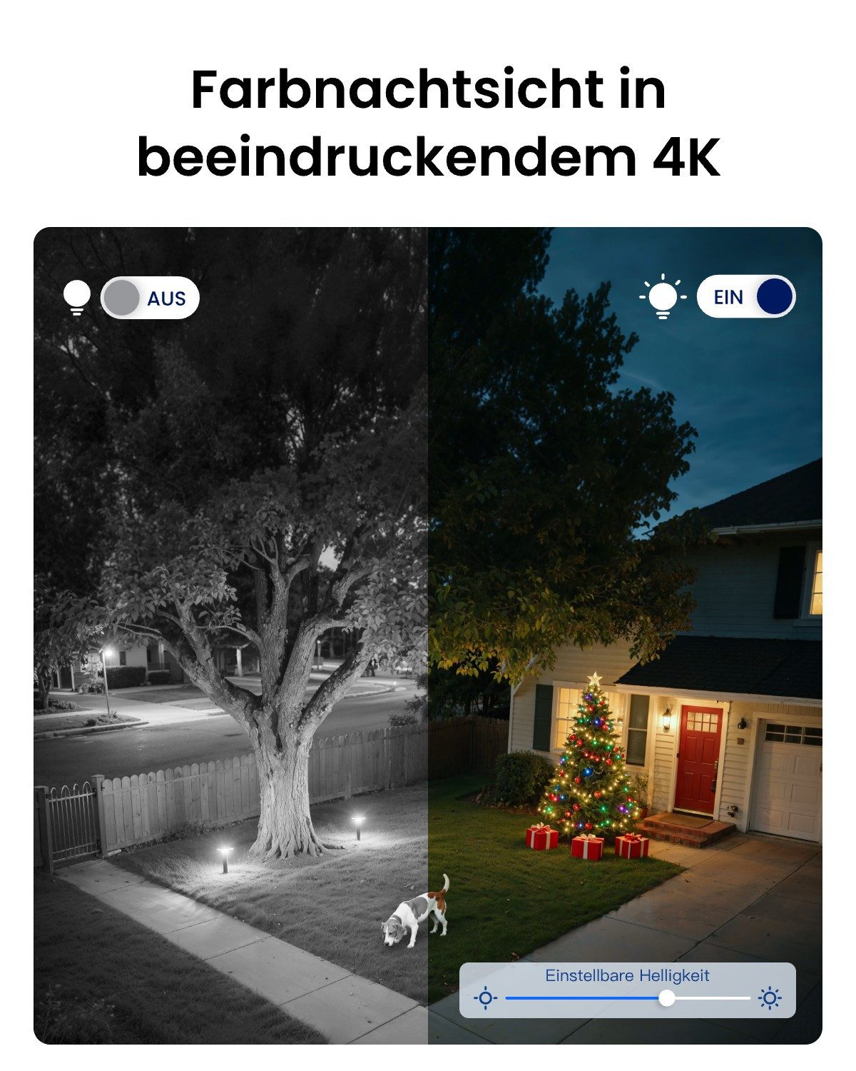 Reolink Überwachungskamera Trackmix 8MP PTZ WLAN IP (Außenbereich, Packung, 1-tlg., 2 Spotlights, mit Dual-Objektiv, Auto-Tracking,Smarte Person/Auto/Haustierer – Bild 5 von 5