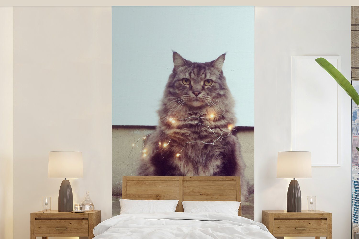 Schlafzimmer für Schöne Maine für Vliestapete (2 bedruckt, Fototapete Matt, MuchoWow Fototapete St), Katze, Beleuchtung die Wohnzimmer Coon Küche,