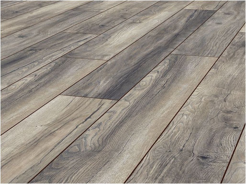 JANGAL Laminat Laminat Jangal 8024 Honey günstig online kaufen