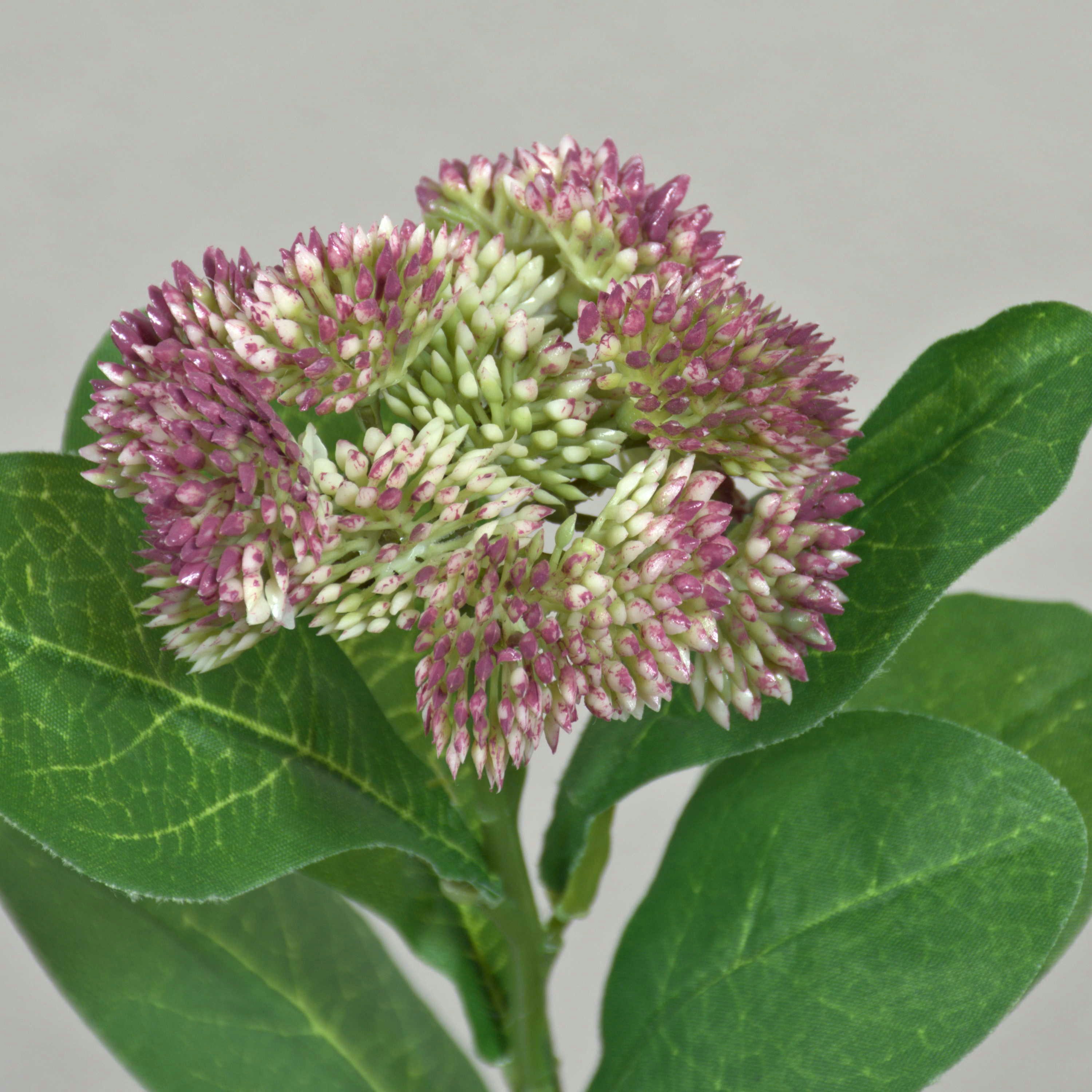 Kunstblume Sedum telephium Blüte EILIDH, rosa-Creme, 30cm Sedum (Sedum telephium), artplants, Höhe 30.0 cm