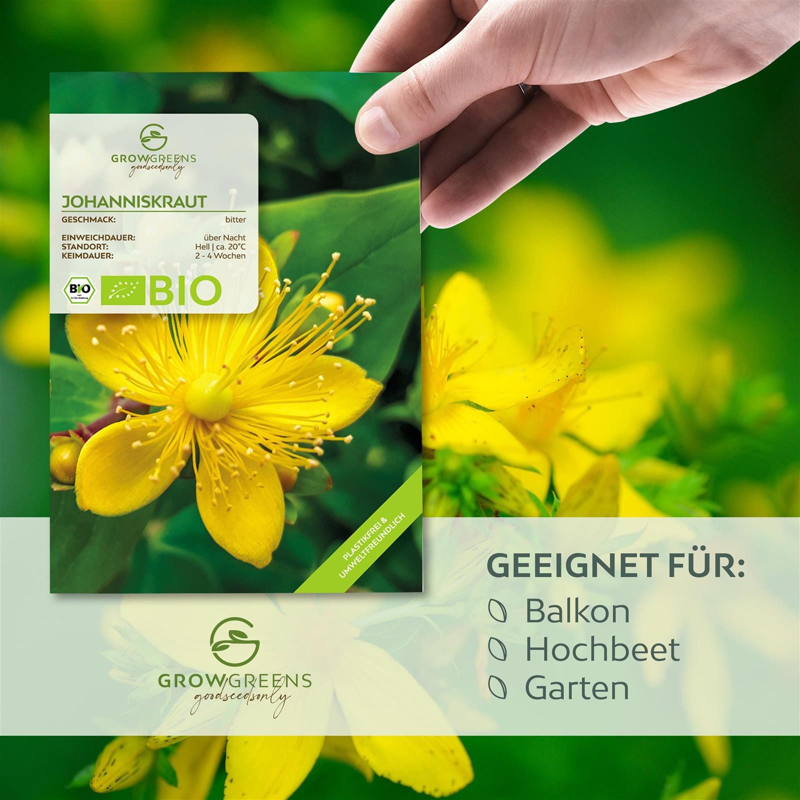 Growgreens Kräutersamen BIO Johanniskraut Samen - Heilkräuter Saatgut bio. günstig online kaufen