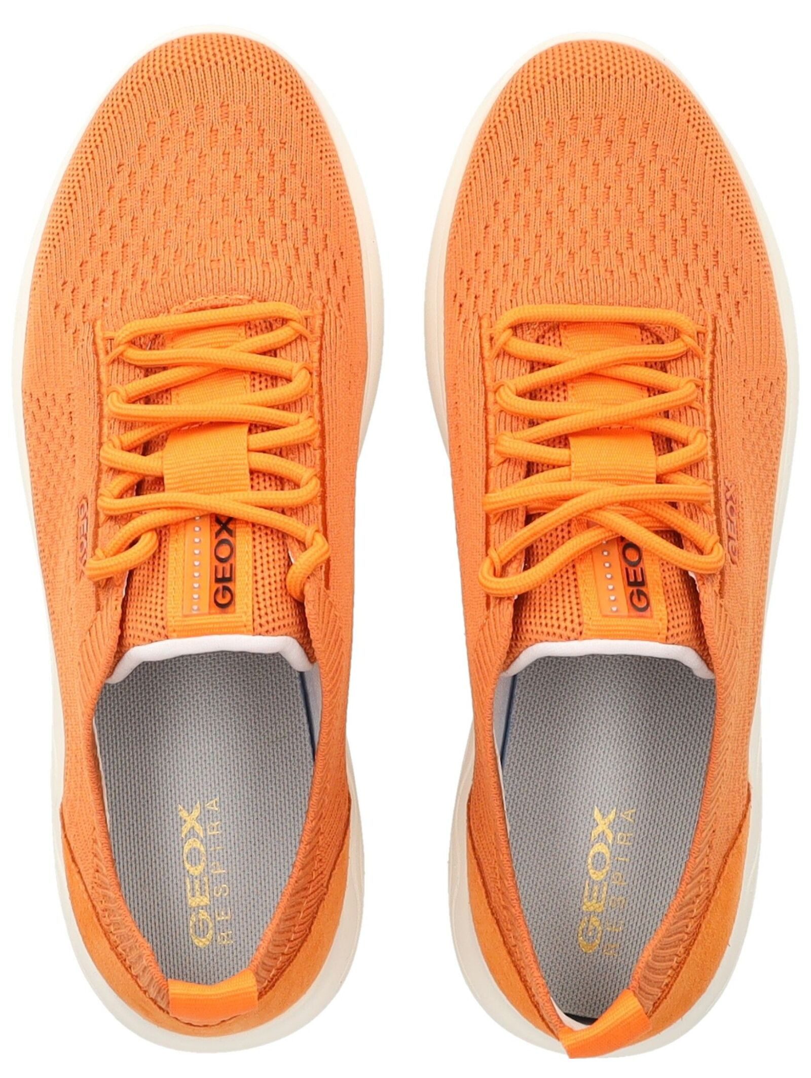 Geox Sneaker Leder/Textil . Sneaker (1-tlg)
