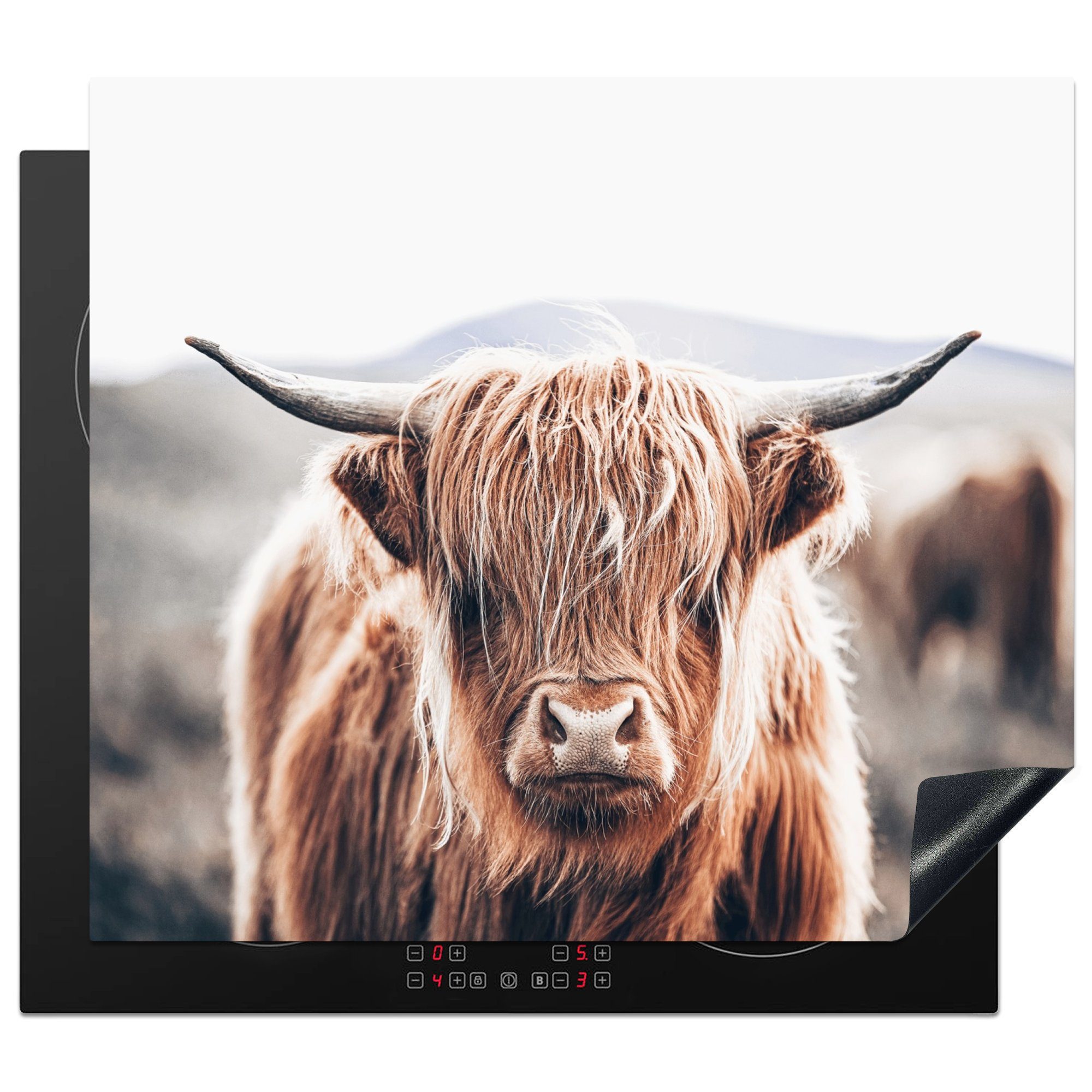 MuchoWow Herdblende-/Abdeckplatte Schottischer Highlander - Berg - Hoorn, Vinyl, (1 tlg), 57x51 cm, Induktionsschutz, Induktionskochfeld, Ceranfeldabdeckung