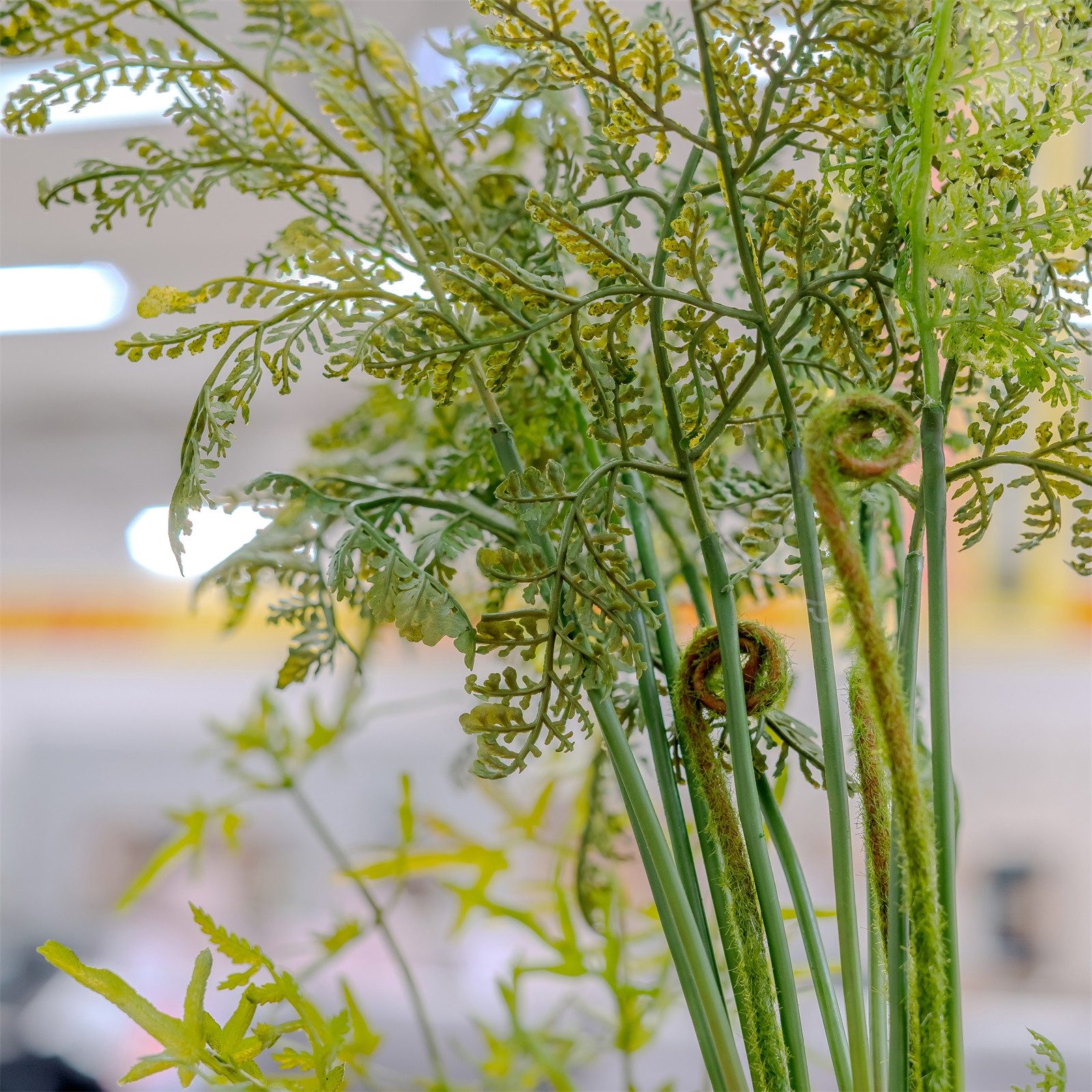 Kunstblume Kunstpflanze Farn-Busch Flora, HTI-Living, Höhe 40 cm, Kunstblume Dekoration