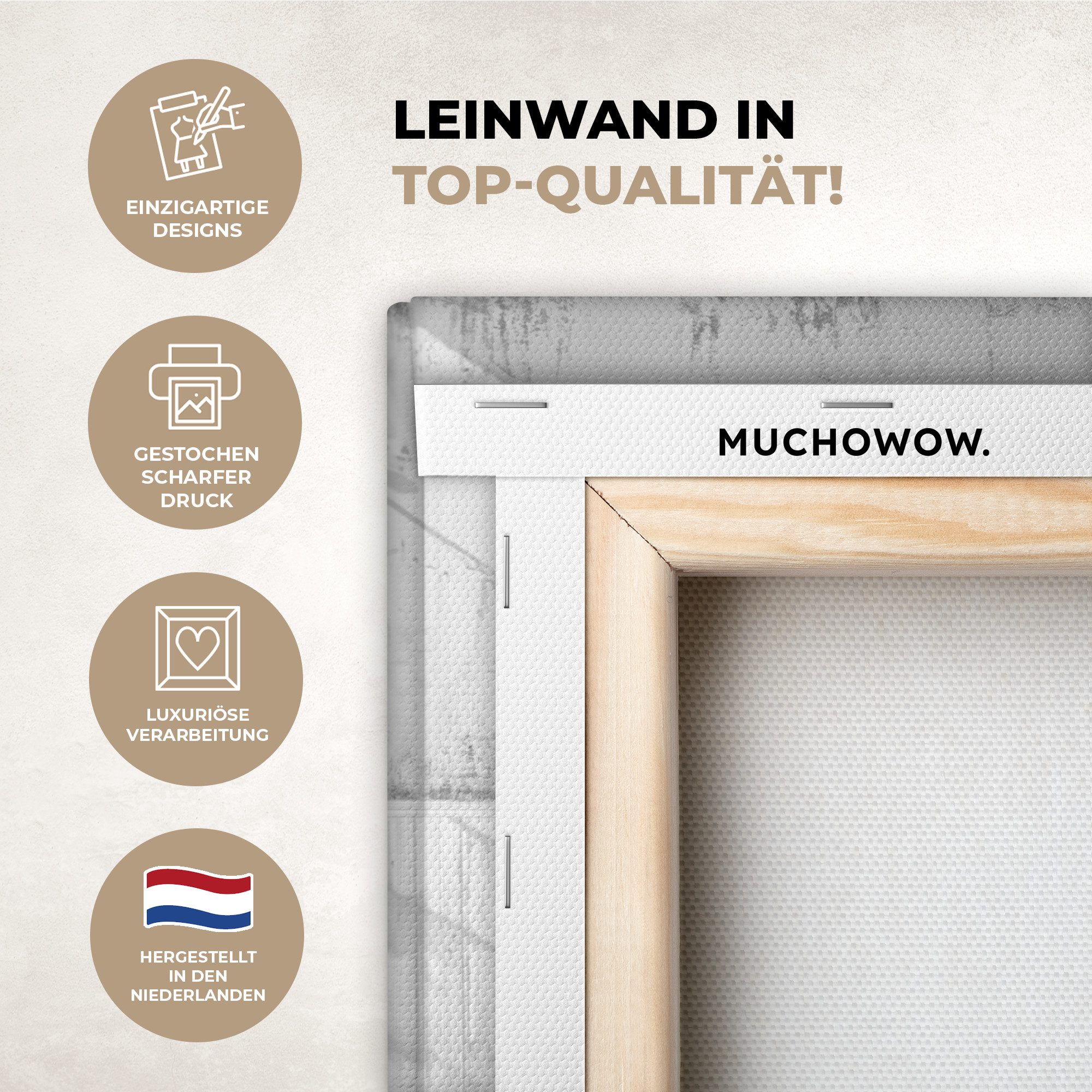 OneMillionCanvasses® Leinwandbild Schottischer Highlander - Tier - Badewann günstig online kaufen