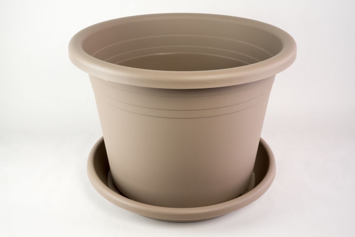 Fuchs Versand 24/7 Blumentopf Blumentopf Cylindro günstig online kaufen