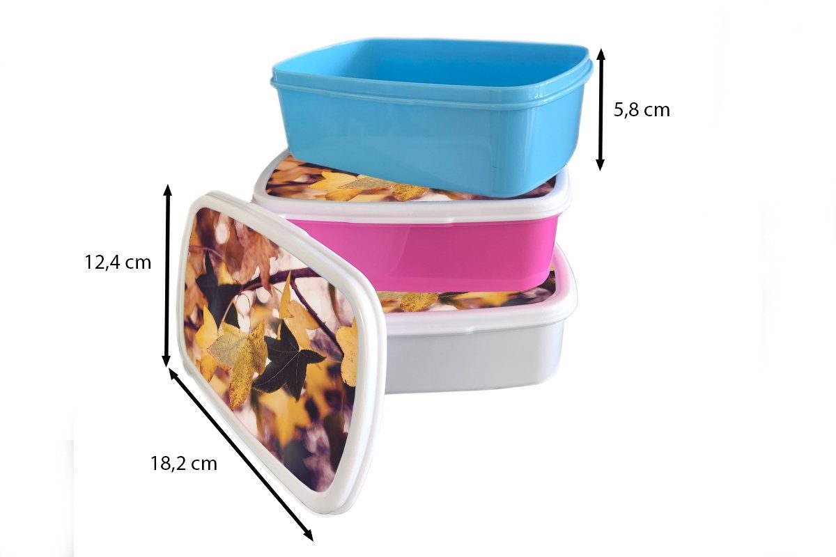 Lunchbox Blätter - und - Kinder Kunststoff, Jungs Herbst für MuchoWow Brotdose, für Ahorn weiß (2-tlg), - Jahreszeiten, Erwachsene, und Mädchen Brotbox