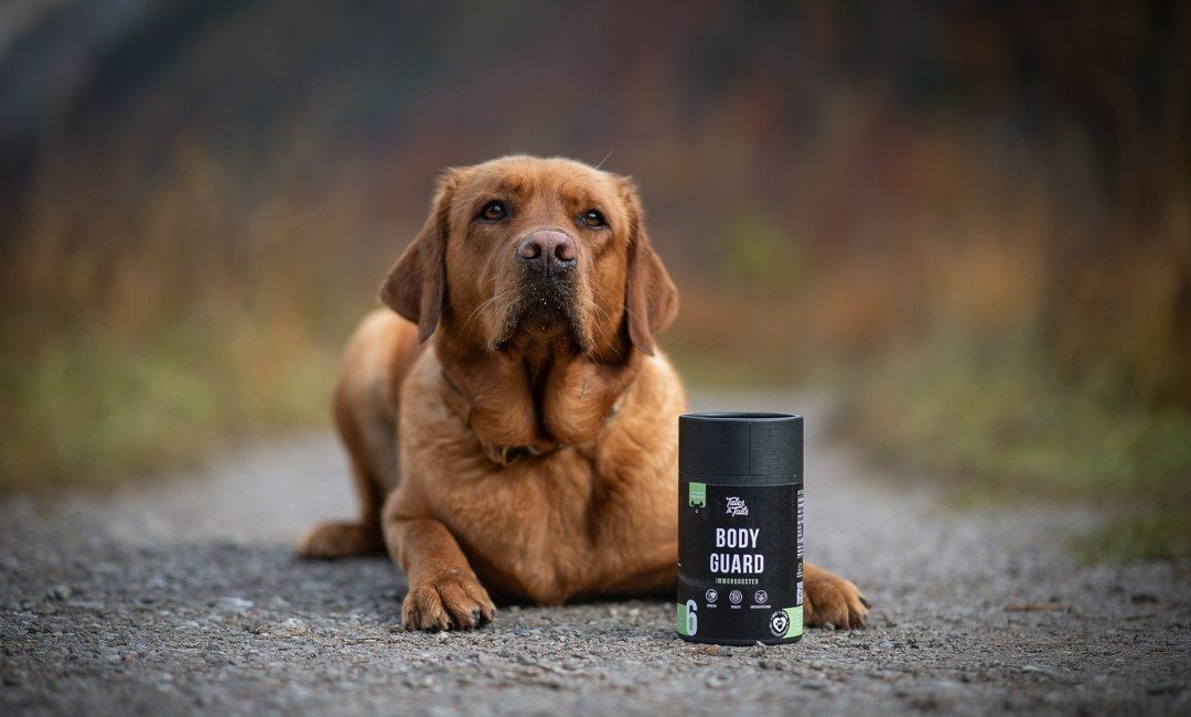 Tales & Tails Bodyguard - Funktionaler Hundesnack, Snack für: Hunde