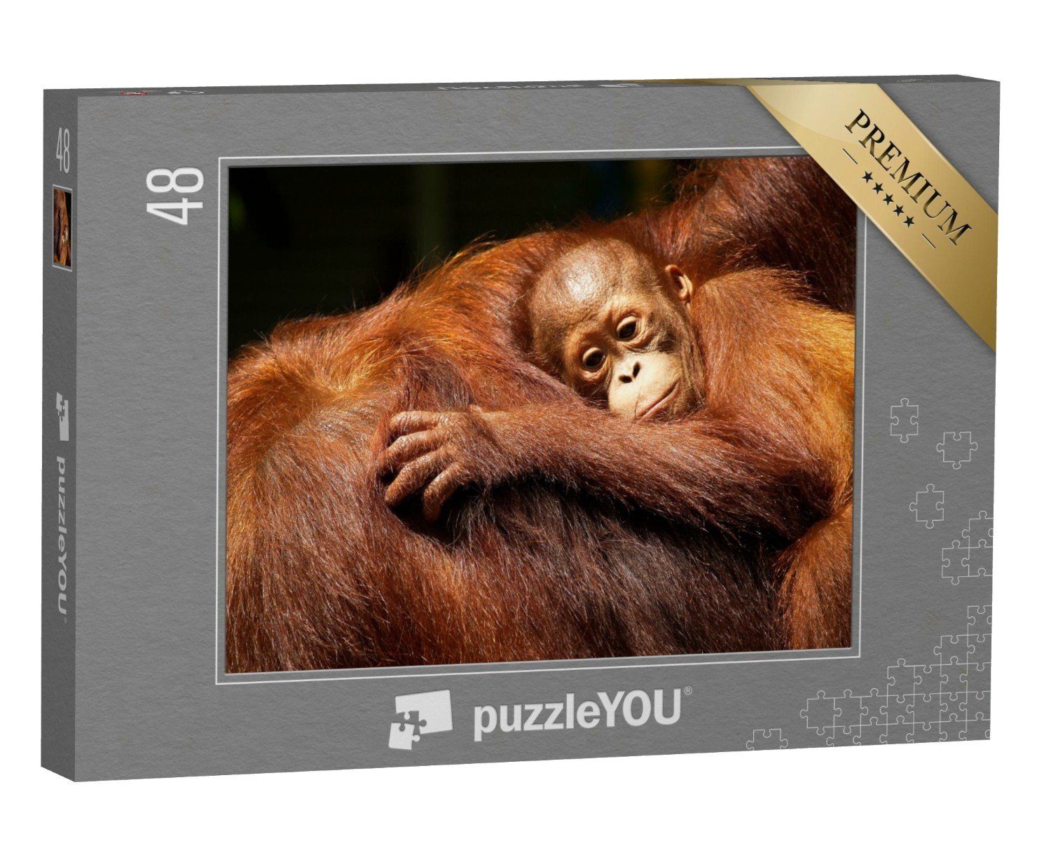 puzzleYOU Puzzle Orang-Utan-Weibchen und ihr Baby im Regenwald, 48 Puzzleteile, puzzleYOU-Kollektionen Orang-Utan, Tiere in Dschungel & Regenwald