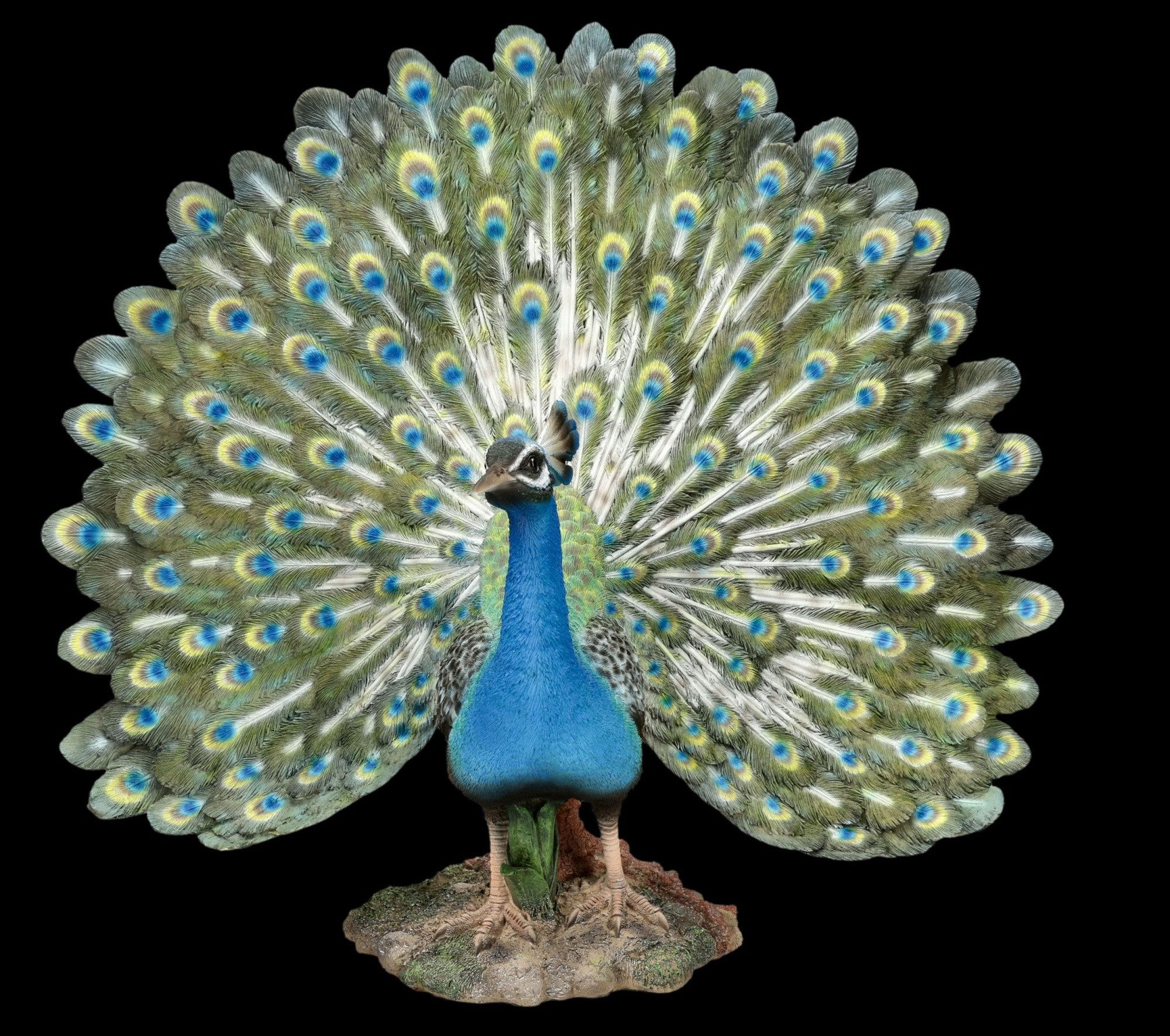 Figuren Shop GmbH Gartenfigur Pfau Gartenfigur XL - Vogel Statue Gartendeko Tierfigur 51 cm Deko
