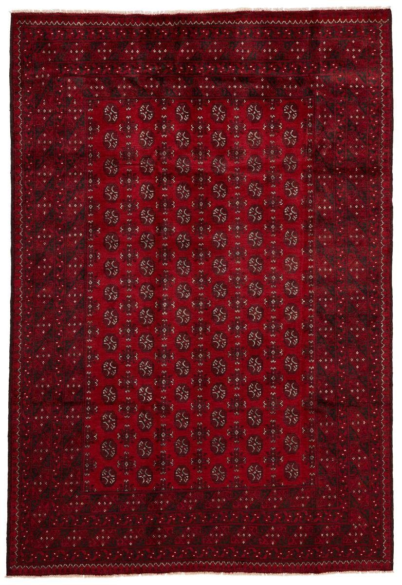 Orientteppich Afghan Akhche 201x289 Handgeknüpfter Orientteppich, Nain Trading, rechteckig, Höhe: 6 mm