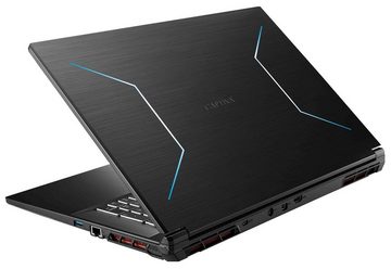 CAPTIVA Advanced Gaming I75-874G1 Gaming-Notebook (43,94 cm/17,3 Zoll, Intel Core i5 13500H, 500 GB SSD)