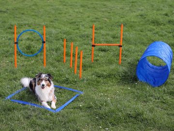Lemodo Agility-Slalom Agility Set für kleine und mittlere Hunde, Komplett-Set, Kunststoff