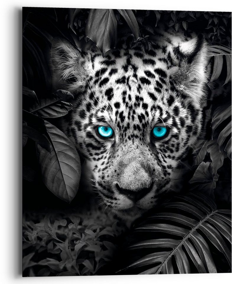 Reinders! Blue Leopard, Eyed Holzbild St) (1