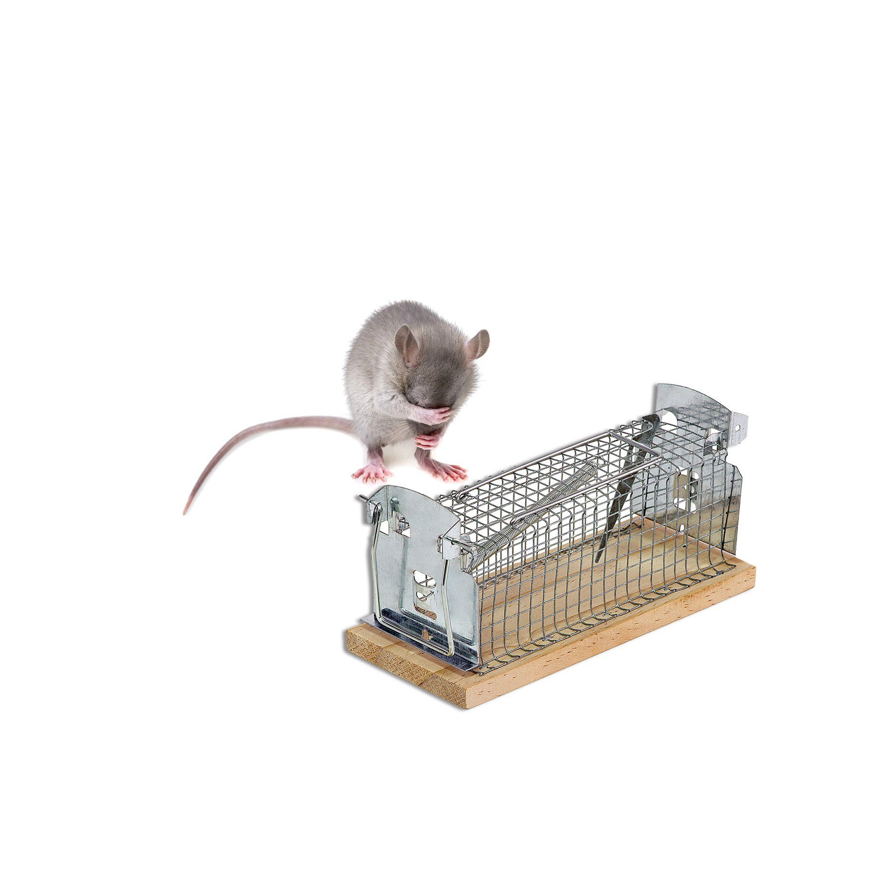 Mäusegitter Mausefalle Lebendfalle für Mäuse Ratten Tierfreundlich Schwanzschutz