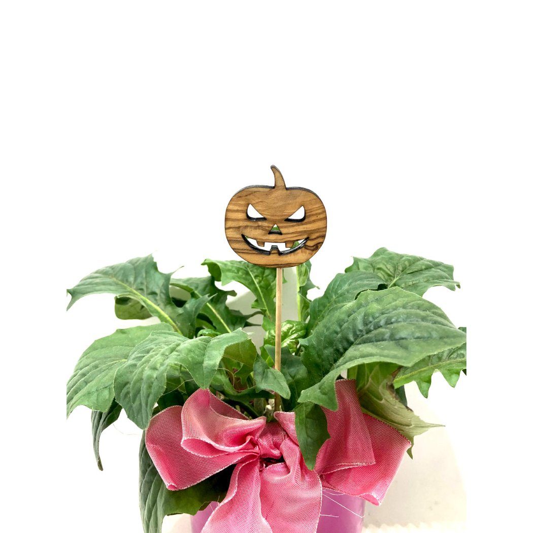 Olivenholz-erleben Blumentopf Blumenstecker aus Olivenholz Halloween Kürbis (1 St), handgemacht