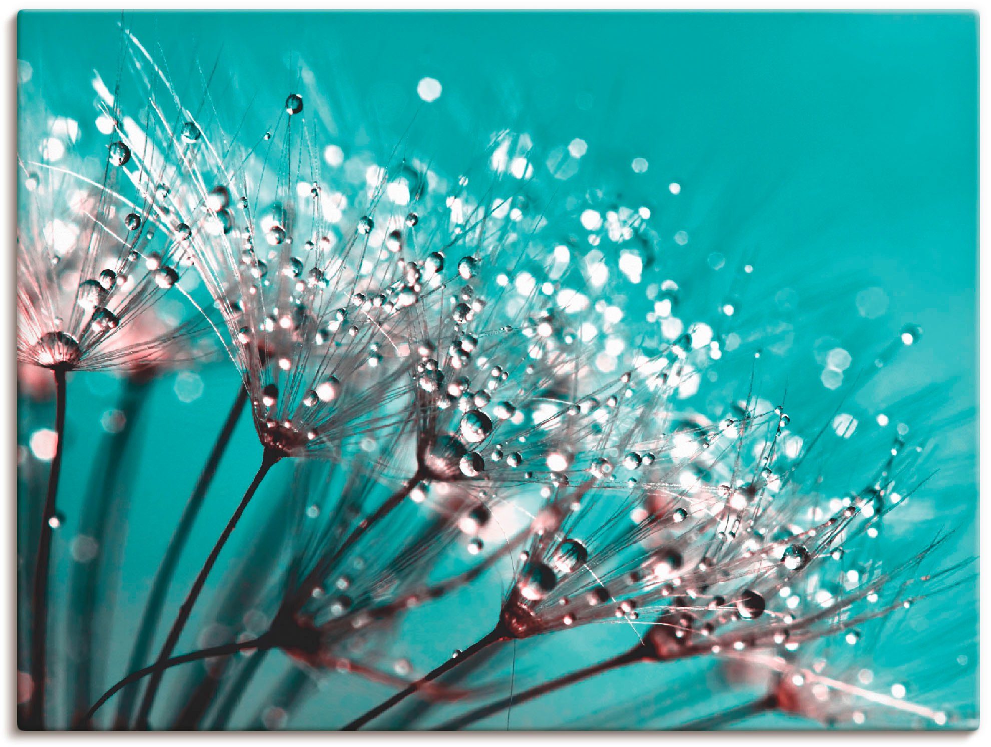 Artland Leinwandbild Glitzernde Pusteblume I, Blumen (1 St), auf Holzrahmen gespannt