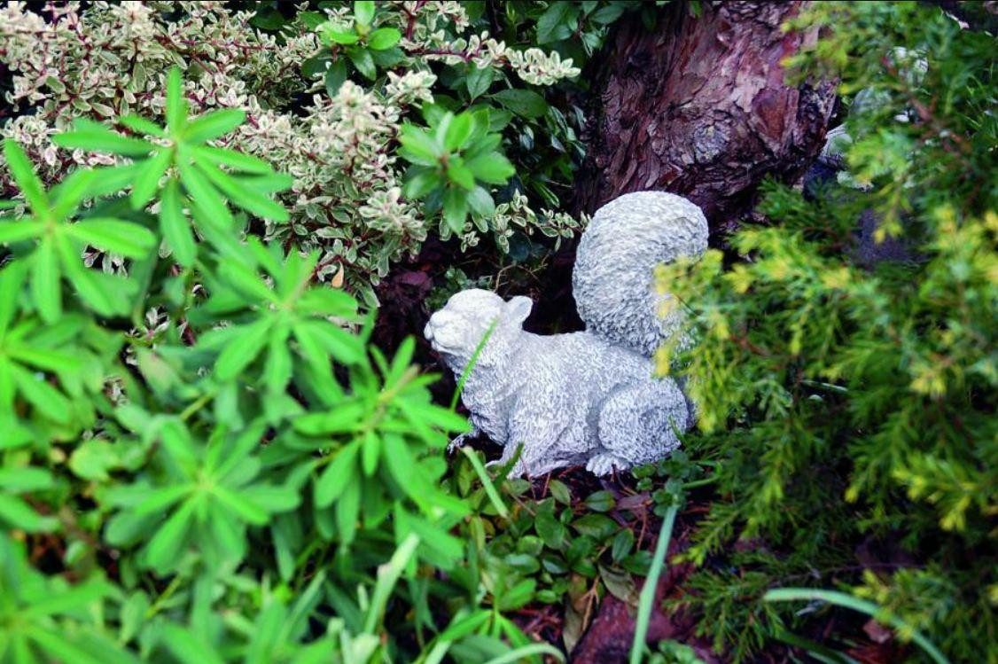 Skulptur Garten Dekoration Eichhörnchen Terrasse Stein Figuren Statue Skulptur