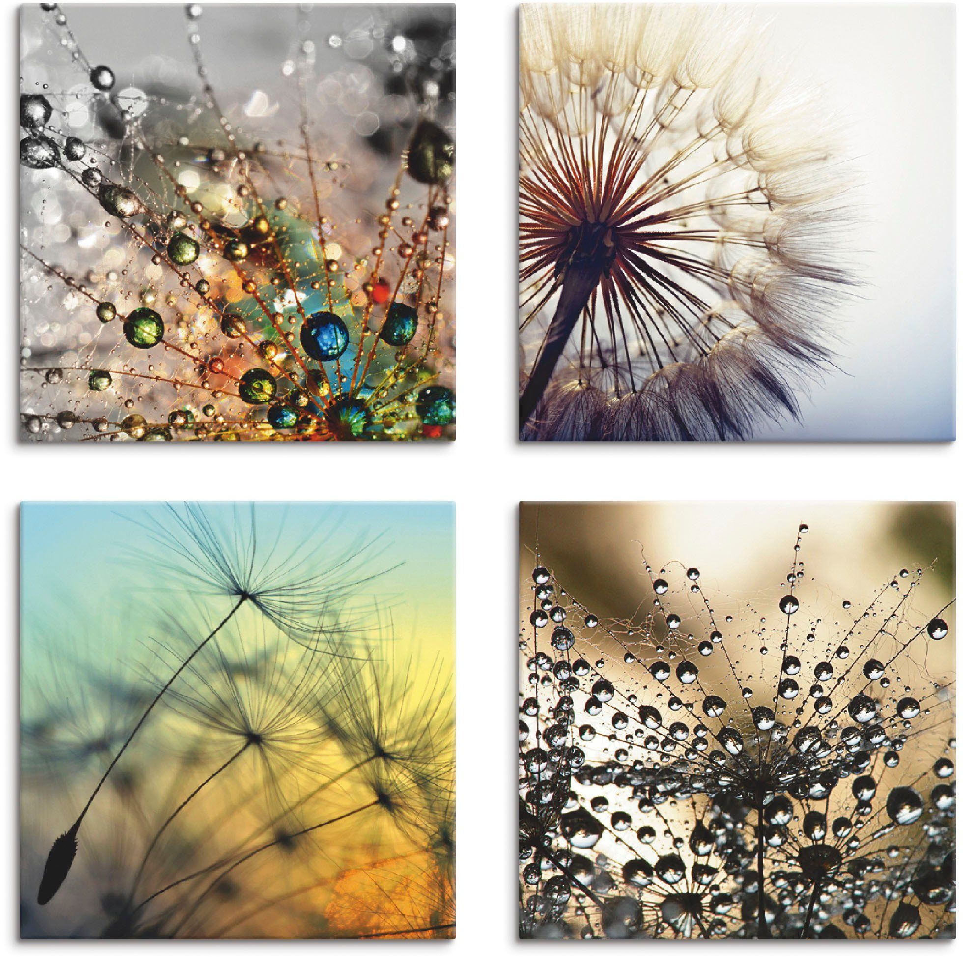 Blumen Bilder Online Kaufen Otto