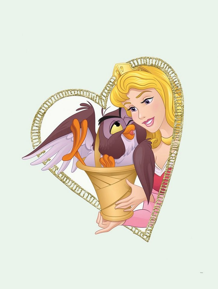 Komar Poster Aurora & Owl, Disney (1 St), Kinderzimmer, Schlafzimmer,  Wohnzimmer